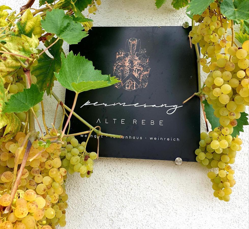 Zur Alten Rebe Ferienhaus Und Weingut Konz Exteriér fotografie