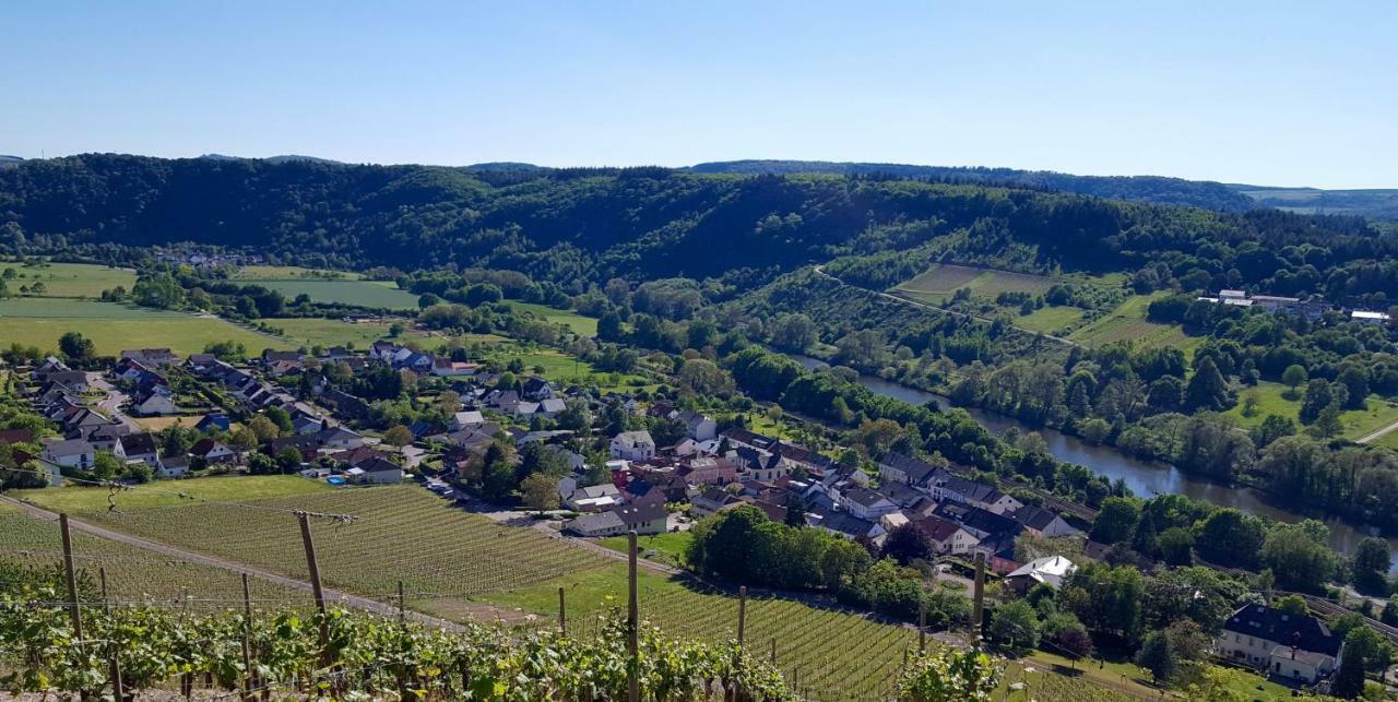Zur Alten Rebe Ferienhaus Und Weingut Konz Exteriér fotografie