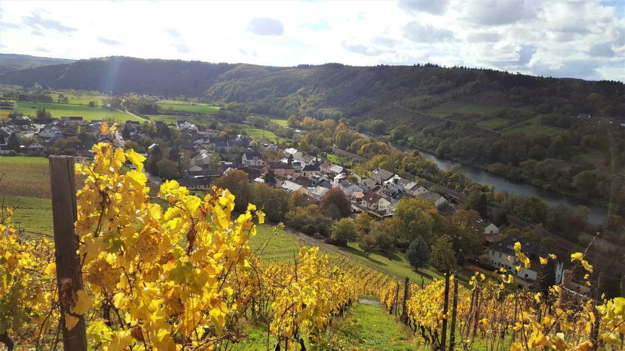 Zur Alten Rebe Ferienhaus Und Weingut Konz Exteriér fotografie