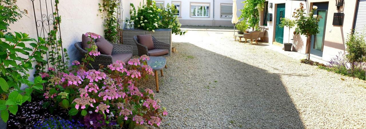 Zur Alten Rebe Ferienhaus Und Weingut Konz Exteriér fotografie