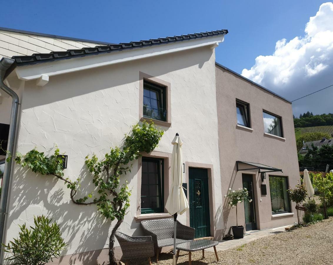 Vila Zur Alten Rebe Ferienhaus Und Weingut Konz Exteriér fotografie